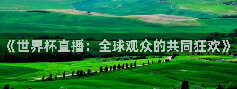 2006年世界杯冠军:《世界杯直播:全球观众的共同狂欢》