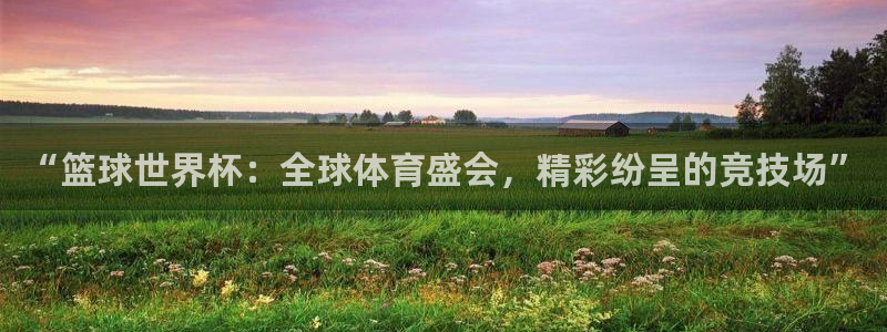 2026年世界杯赛程:“篮球世界杯:全球体育盛会,精彩纷呈的竞技场”
