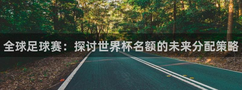 世界杯亚洲区预选赛积分榜:全球足球赛:探讨世界杯名额的未来分配策略