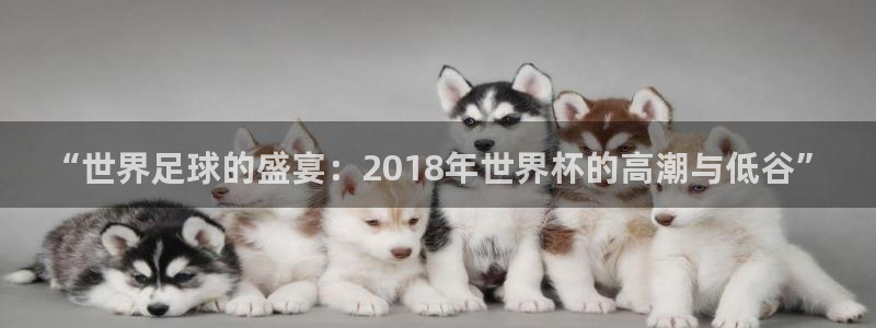 世界杯女足直播:“世界足球的盛宴:2018年世界杯的高潮与低谷”