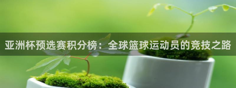 2026世界杯中国队:亚洲杯预选赛积分榜:全球篮球运动员的竞技之路
