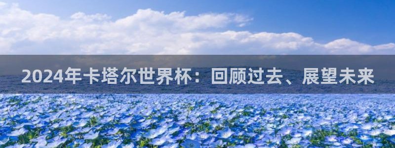 世界杯直播观看:2024年卡塔尔世界杯:回顾过去、展望未来