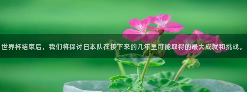 世界杯决赛直播:世界杯结束后,我们将探讨日本队在接下来的几年里可能取得的最大成就和挑战。